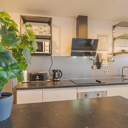 Apartment Gorgeous In With Kitchen